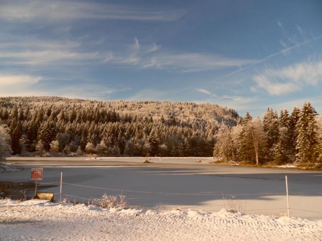 La Perle Au Bord De La Riviere Apartment Gerardmer Luaran gambar
